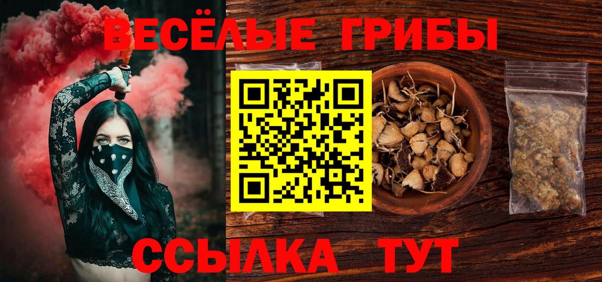 Псилоцибиновые грибы прущие грибы  Вход с VPN  Галлюциногенные грибы ЛСД  Амурск 