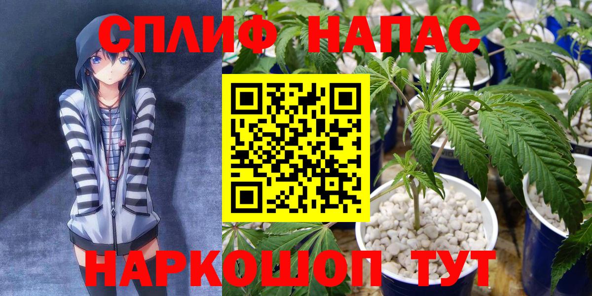 Амурск  Шишки марихуана Bruce Banner  Вход с VPN  Шишки марихуана план 